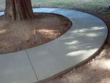 Circular Kids' Bike Track Around a Tree: concrete patio and wall work by Redmond Concrete, concrete contractor serving Woodinville (photo 1 of 6)