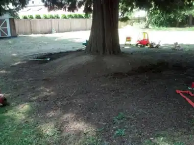 Circular Kids' Bike Track Around a Tree: concrete patio and wall work by Redmond Concrete, concrete contractor serving Redmond (photo 6 of 6)