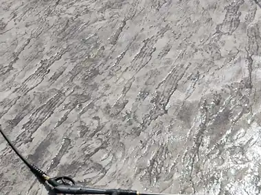 Seamless Slate Stained Stamped Driveway in Snohomish, WA: concrete driveway work by Redmond Concrete (photo 5 of 9)